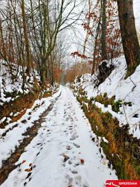 Dom Sprzedaż Karczmiska Pierwsze Starowiejska