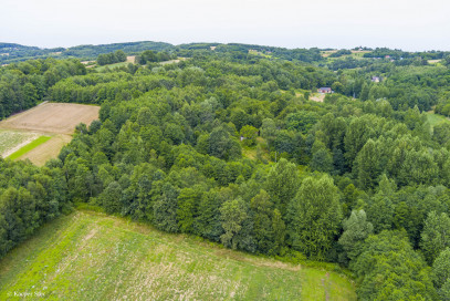 Działka Sprzedaż Buchcice