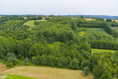 Działka Sprzedaż Buchcice