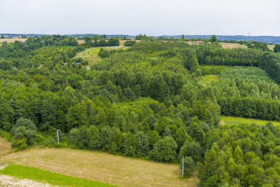 Działka Sprzedaż Buchcice