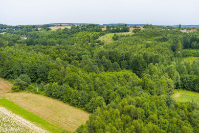 Działka Sprzedaż Buchcice