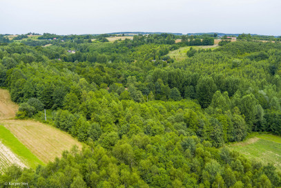 Działka Sprzedaż Buchcice