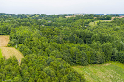 Działka Sprzedaż Buchcice