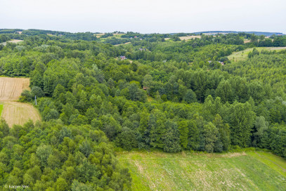 Działka Sprzedaż Buchcice