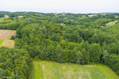 Działka Sprzedaż Buchcice