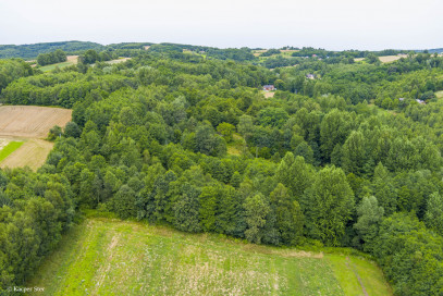 Działka Sprzedaż Buchcice