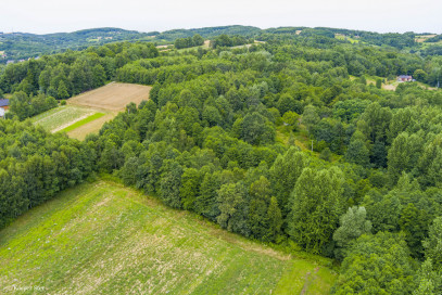 Działka Sprzedaż Buchcice