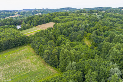 Działka Sprzedaż Buchcice