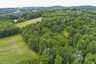 Działka Sprzedaż Buchcice