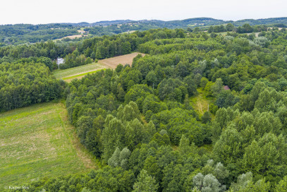 Działka Sprzedaż Buchcice