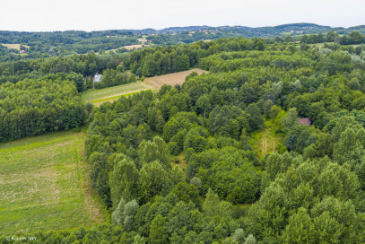 Działka Sprzedaż Buchcice