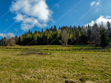 Działka Sprzedaż Zawoja