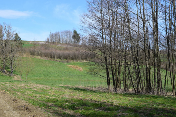 Działka Sprzedaż Manasterz 7