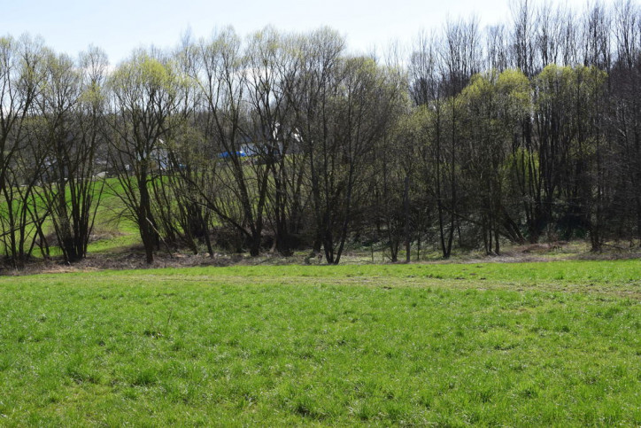 Działka Sprzedaż Manasterz 3