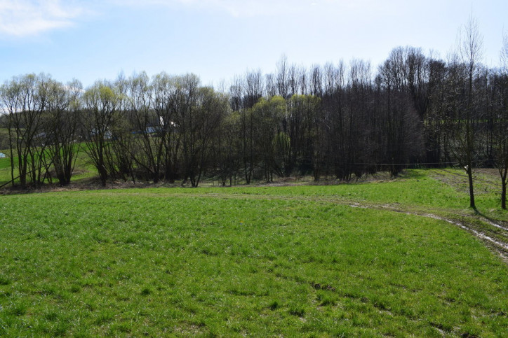 Działka Sprzedaż Manasterz 1
