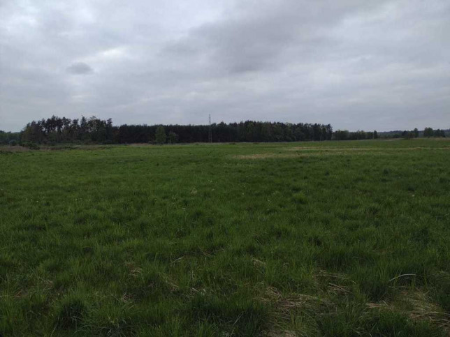 Działka Sprzedaż Opaka 2