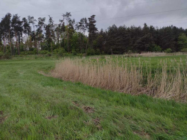 Działka Sprzedaż Opaka 4
