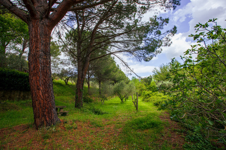 Obiekt Sprzedaż Cortona, Toskania, Włochy Via Santa Maria Nuova 12