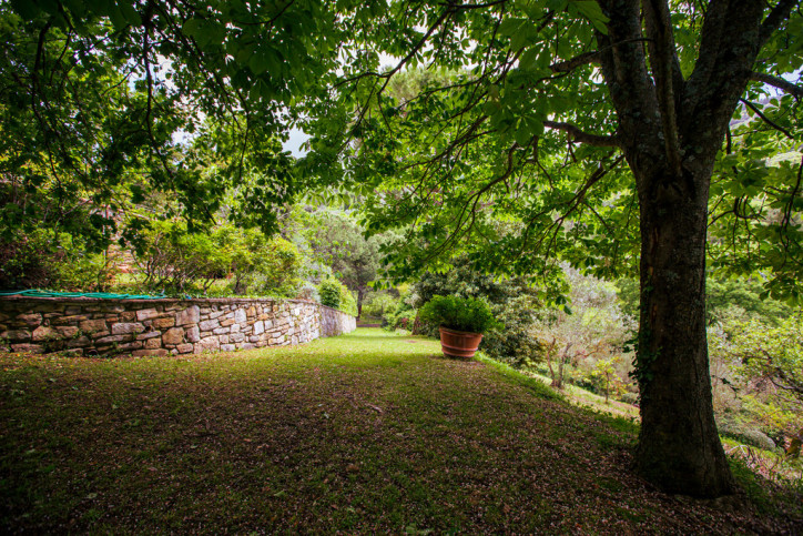 Obiekt Sprzedaż Cortona, Toskania, Włochy Via Santa Maria Nuova 25