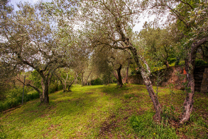 Obiekt Sprzedaż Cortona, Toskania, Włochy Via Santa Maria Nuova 27