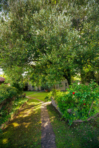 Obiekt Sprzedaż Cortona, Toskania, Włochy Via Santa Maria Nuova 80