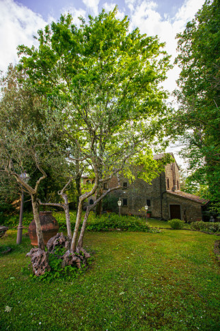 Obiekt Sprzedaż Cortona, Toskania, Włochy Via Santa Maria Nuova 81