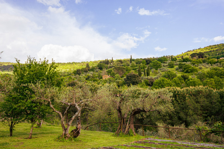 Obiekt Sprzedaż Cortona, Toskania, Włochy Via Santa Maria Nuova 89