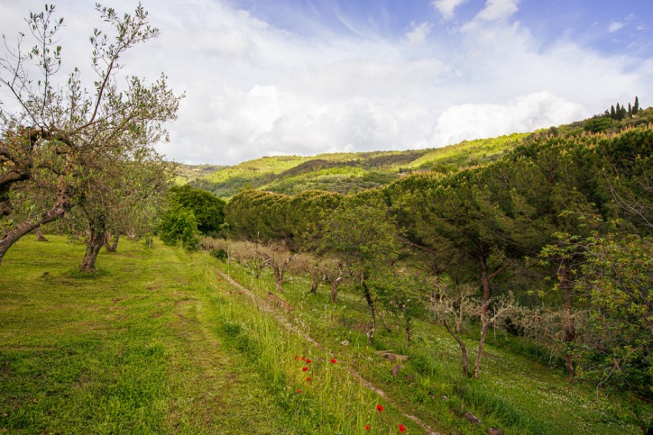 Obiekt Sprzedaż Cortona, Toskania, Włochy Via Santa Maria Nuova 90