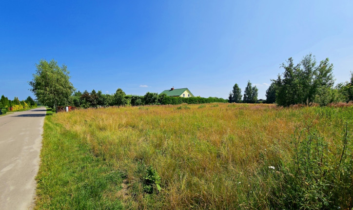 Działka Sprzedaż Krasne 8