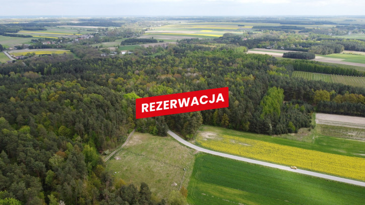 Działka Sprzedaż Grądy 10