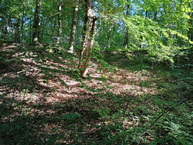 Działka Sprzedaż Drohobyczka 6