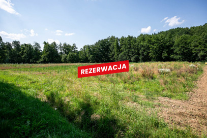 Działka Sprzedaż Bieśnik